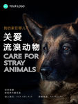 保护流浪动物海报