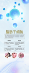 干细胞