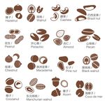 坚果干果图标