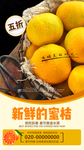 新鲜蜜桔