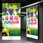 葡萄