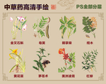 中药草手绘