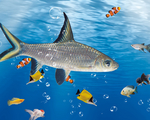 海底生物