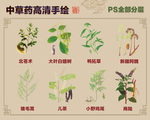 中草药手绘