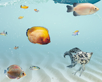 海洋馆