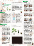 浇水器 安装说明书 小花 植物
