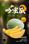 哈密瓜海报 新疆哈密瓜 甜瓜