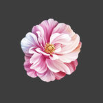 手绘花