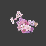 手绘花
