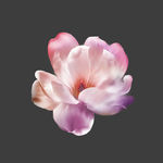 手绘花