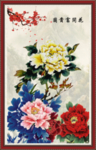 牡丹花