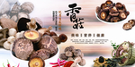 香菇