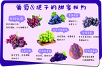 葡萄提子