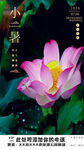 小暑海报
