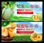哈密瓜