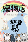 宠物店 肖