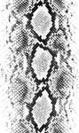 蛇纹