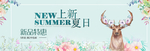 小鹿