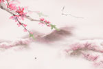 十里桃花图片