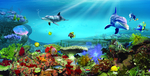 海洋生物