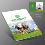 牧场奶牛优质好奶鲜牛奶画册封面