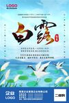 白露节气海报