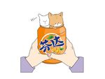 卡通小猫