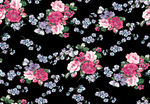 植物花朵