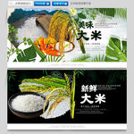 大米 大米海报