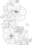 花卉一幅