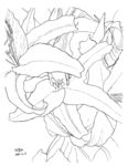 花卉绘图