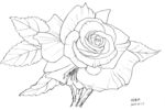 一花一世界