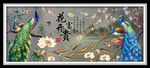 古典花开富贵孔雀中式装饰画