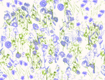 花朵 花型 花纹 花边