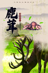 鹿茸海报 鹿茸片海报 鹿角海报