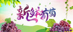 新鲜葡萄