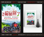 葡萄海报