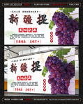 新疆提子展板