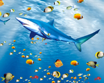 海底世界