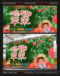爱心助农-有机苹果
