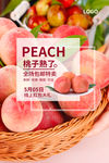 采摘桃子海报  鲜桃海报 桃子