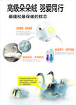 羽绒枕