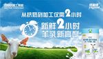 百优能佳羊奶粉形象海报广告设计