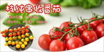 串收番茄吊牌