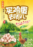 土鸡蛋 农家土特产海报