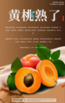 黄桃熟了 黄桃 肖