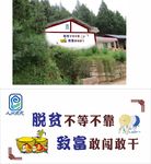 乡村文化墙图片