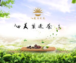 心美丽造茶背景板