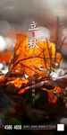 立秋