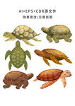 矢量手绘卡通乌龟